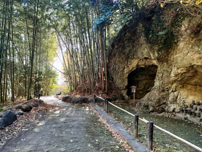 この間行った鎌倉のやぐら群巡り。圧倒的存在感の瑞泉寺、ひっそりとした浄妙寺奥の延福寺跡、芸術度の高い報国寺、玄人向けの杉本寺。杉本寺のは池かと思ったら実はやぐらで興奮してしまいましたよ。シダがいい味出してる。 
