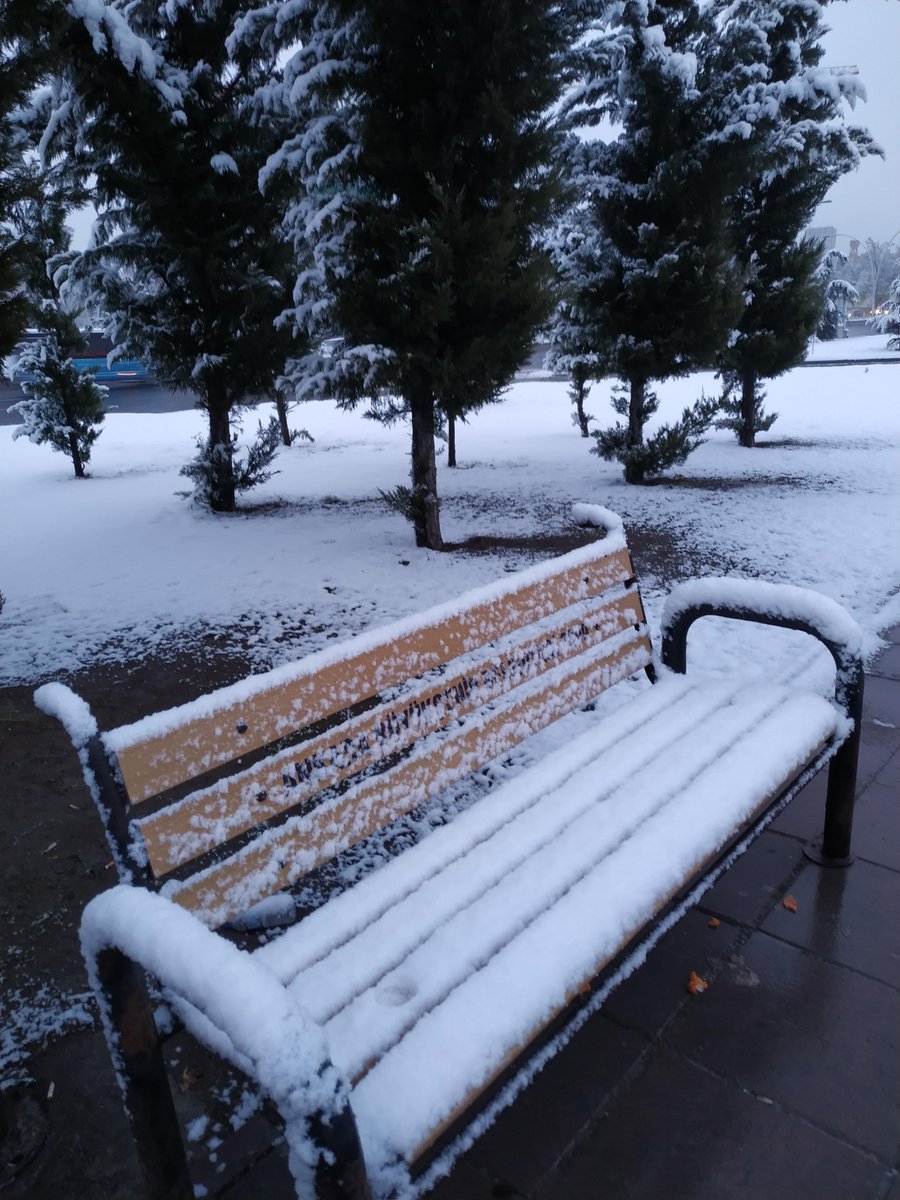 "Kar taneleri ne güzel anlatıyor; birbirlerine zarar vermeden de yol almanın mümkün olduğunu" 

Günaydın
Sağlıklı, mutlu hafta sonları🤗

Fotoğraflar geçen seneden Ankara❄