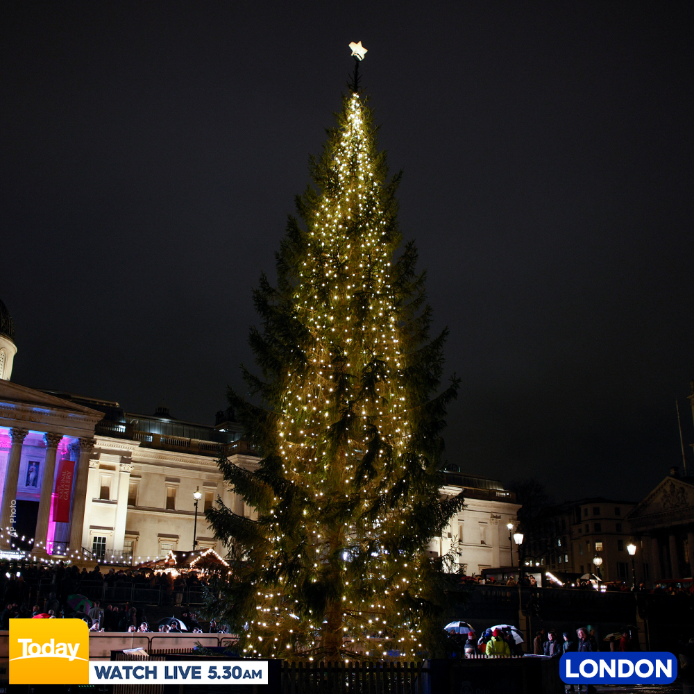 Here are some of the best Christmas trees around the world! 🎄🌎 Which one is your favourite? #9Today