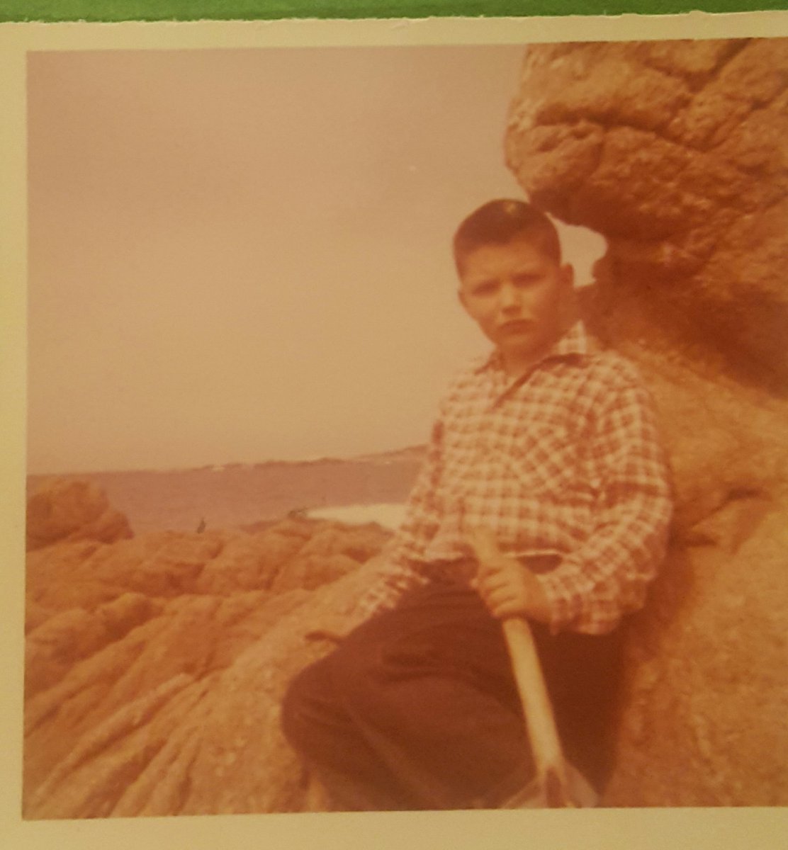 Ed Augusts tweet media