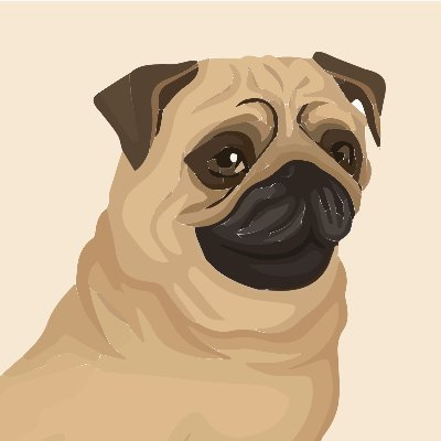 $PUG | Solana tweet media