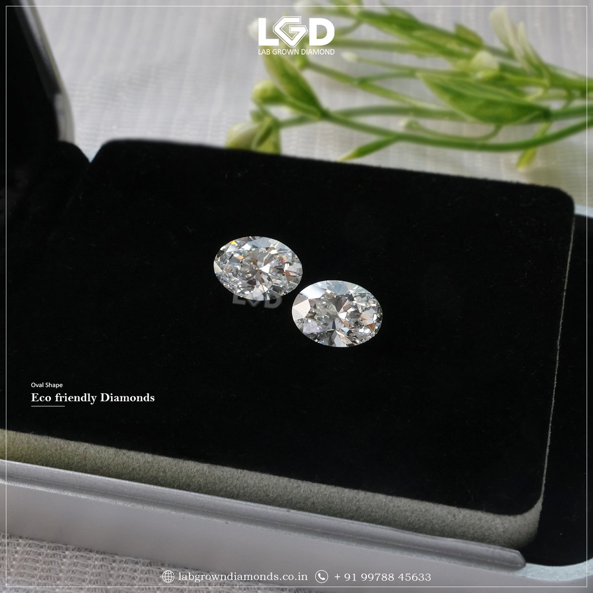 LabGrownDiamon2's tweet image. The oval cut diamond represent never ending sagas of love, life and beyond a symbol of eternity.

For inquiries:
Call 📞 : +91-9978845633
Visit : labgrowndiamond.co.in
☟ WhatsApp Below ☟
api.whatsapp.com/send/?phone=91…

#ovalshapediamond #fancydiamond #labcreated #labgrowndiamonds
