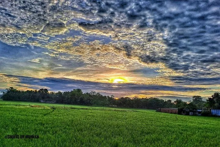 SdekPhotography's tweet photo. Sunrise photography is my favourite.😍

#Sunrise #sunrisephotography #sunrise #naturelovers #mobilephotography_nature #sunriseloversofinstagram 
#natureloversgallery https://t.co/qh2NQKzY6L