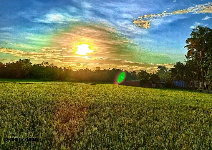SdekPhotography's tweet photo. Sunrise photography is my favourite.😍

#Sunrise #sunrisephotography #sunrise #naturelovers #mobilephotography_nature #sunriseloversofinstagram 
#natureloversgallery https://t.co/qh2NQKzY6L