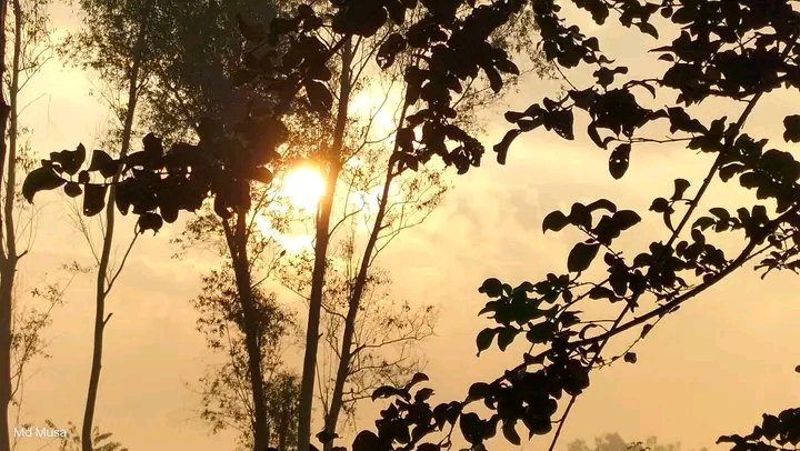 SdekPhotography's tweet photo. Sunrise photography is my preferred. 

Morning shoots of Chittagong local area! 

 📸 Md Musa 

#Sunrise #sunrisephotography #sunrise #naturelovers #mobilephotography #sunriselover #NatureLoversParadise https://t.co/IOjfKcGlL8