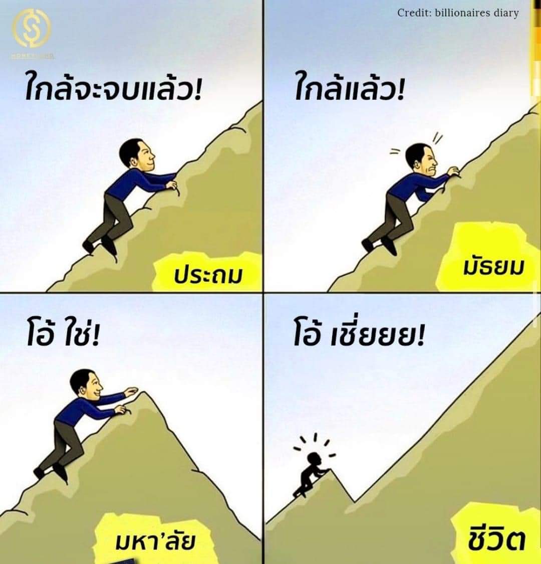 วันนี้เพื่อไทย ตอแหลอะไร ? tweet media