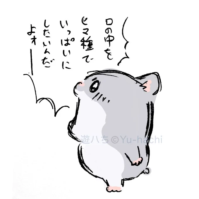 なんか小さくて可愛いジャンガリアンハムスター 