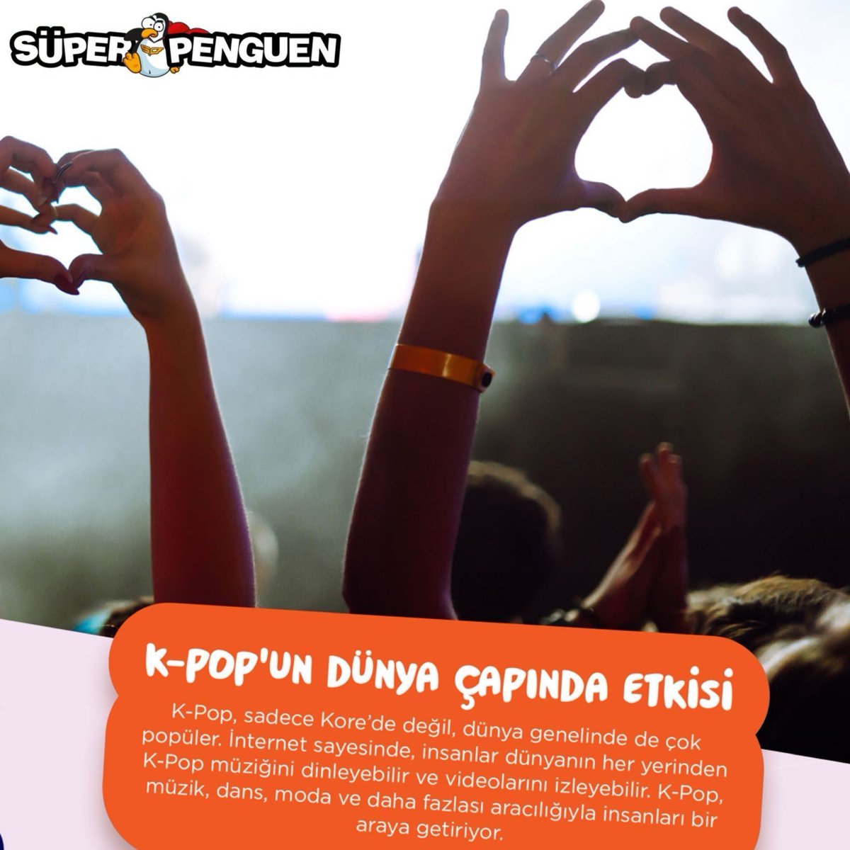 Süper Penguen tweet media