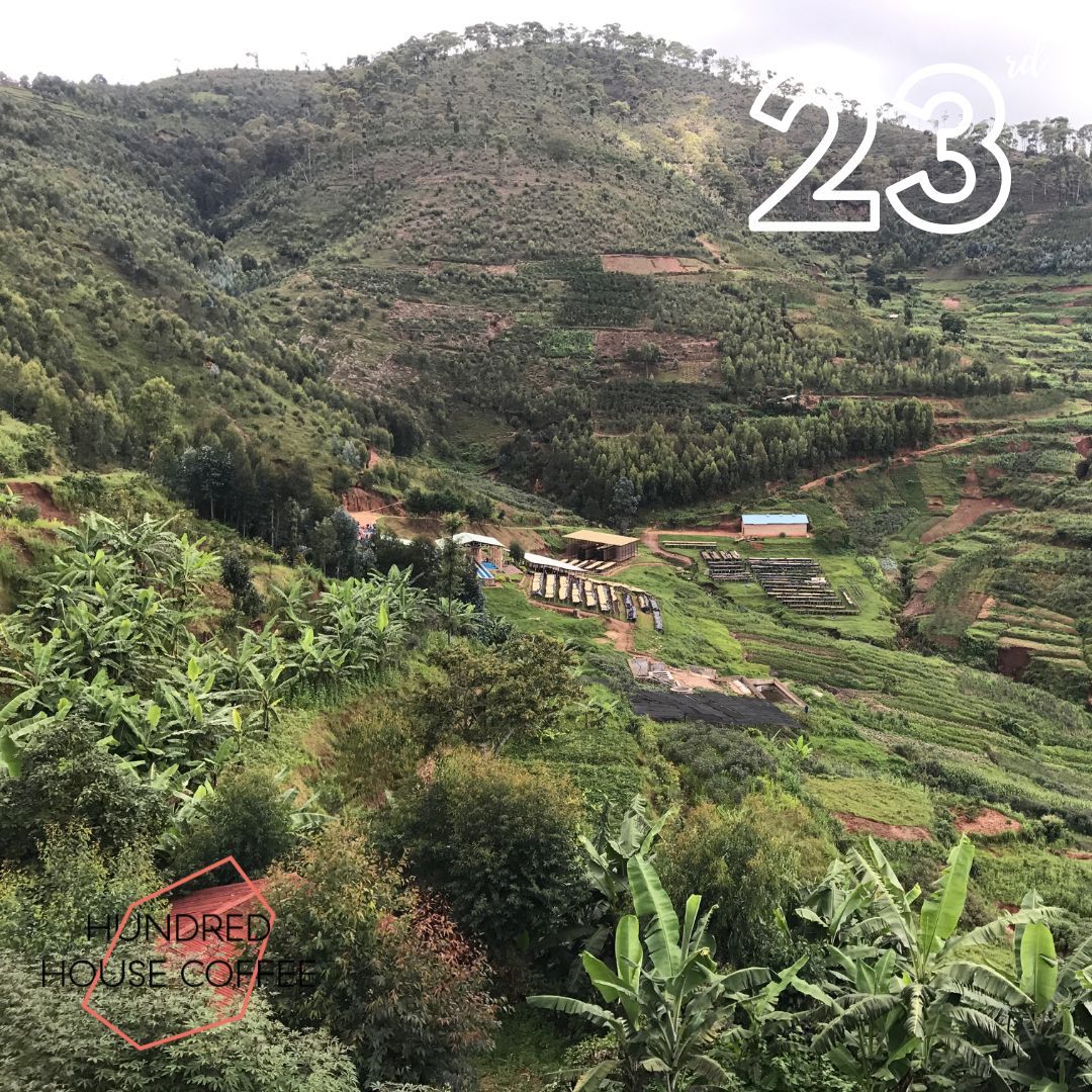 Coffee Advent tweet media