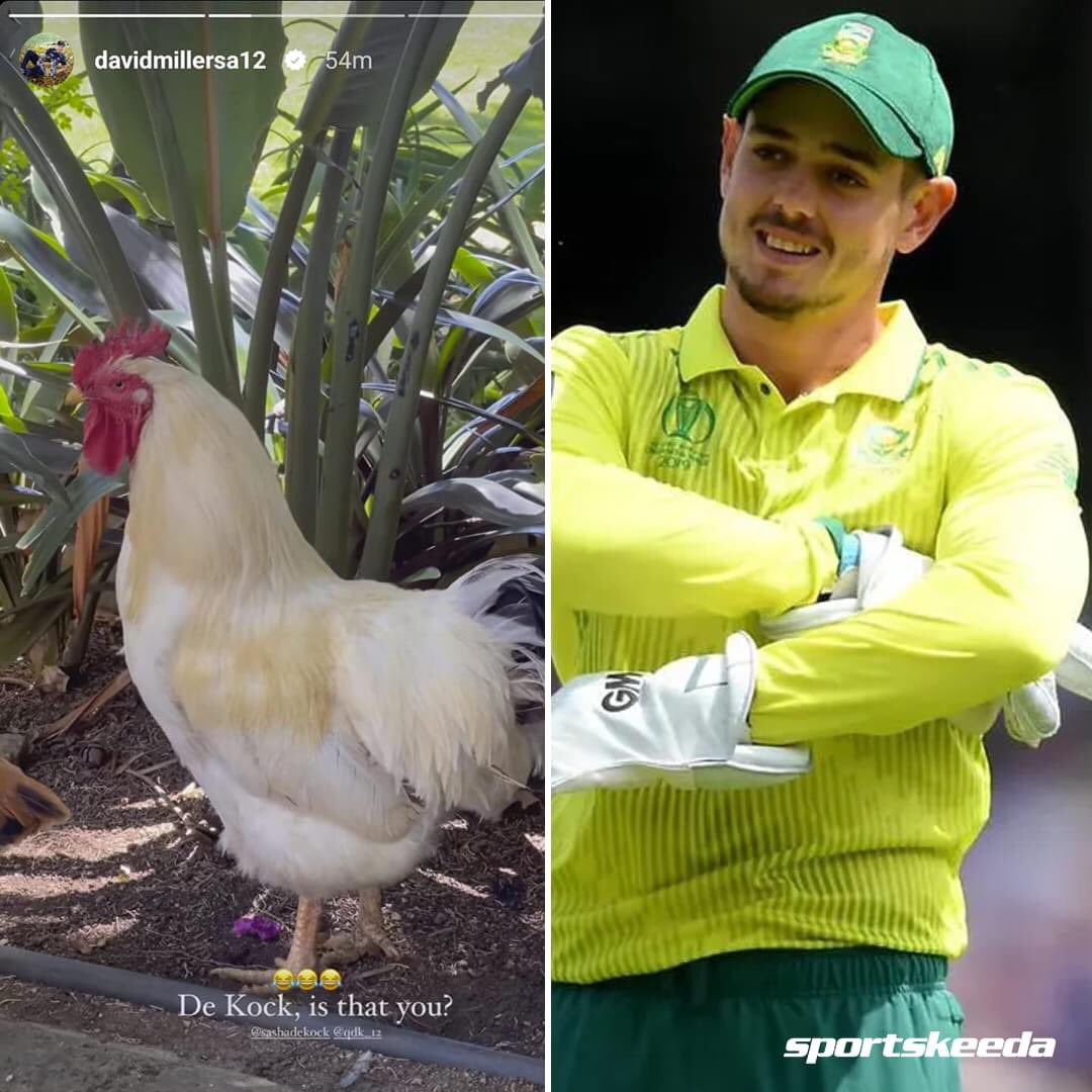 The Proteas banter! 😂

#QuintondeKock #DavidMiller #Cricket #SouthAfrica #Sportskeeda #النصر_الاتفاق