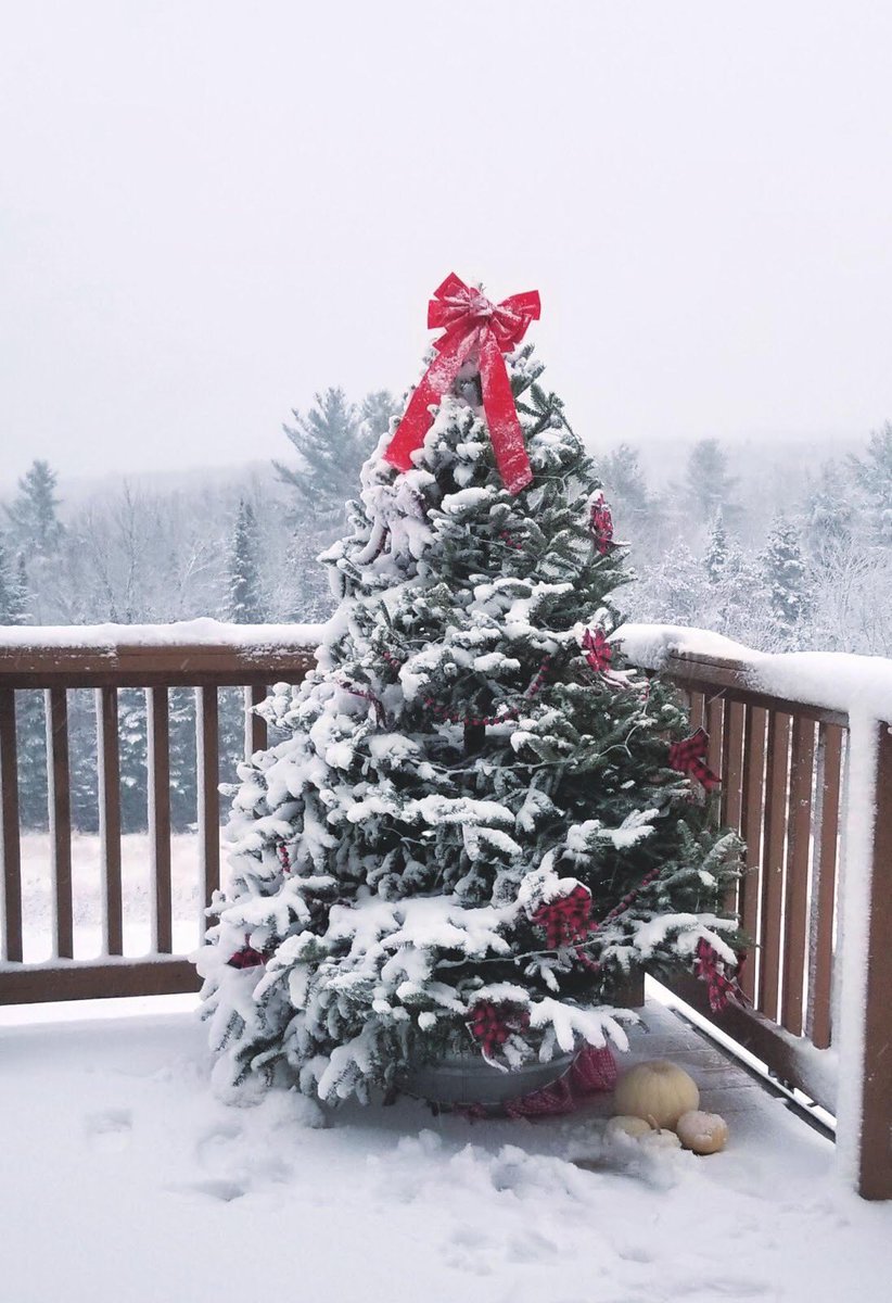 Good morning X-Friends…🌹☕️☃️

Merry Christmas to all 🎄🎁🎅🏻💝
May your homes be filled with peace,your lives with hope and your hearts with faith ☃️❄️🎄🎅🏻🎁💝

#SaturdayThoughts 🌹 #CoffeeTime ☕️ #Christmas2023 🎄 #MerryChristmas 🎅🏻 #PeaceAndLove 🕊️