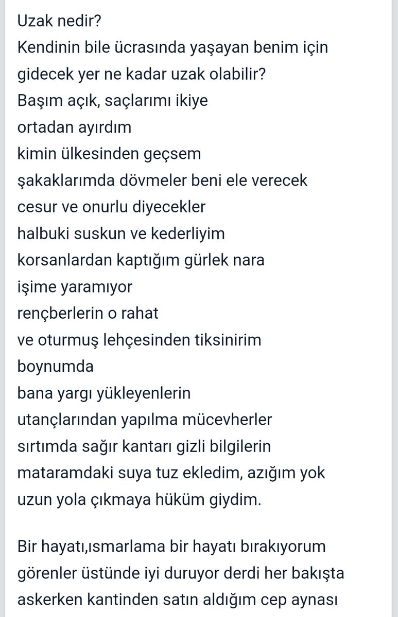 todorov🇵🇸 tweet media