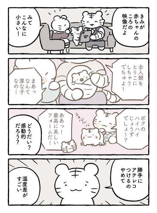 虎の子 #ホワイトタイガーとブラックタイガー