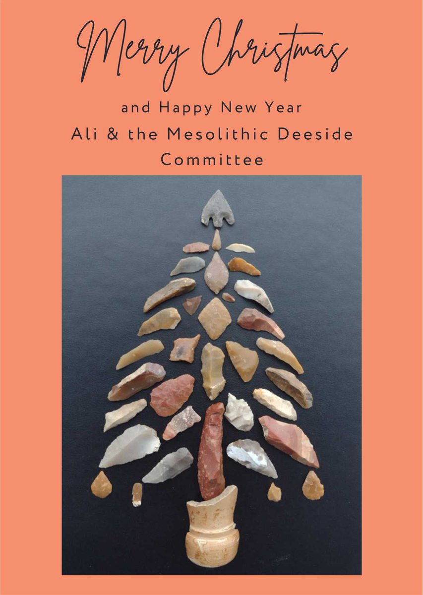 Seasons greetings and hope to see you all in the field next year. Huge thanks to Roslyn Hay for this photo and so many others this year. And all the volunteers without whom there would be no Mesolithic Deeside.