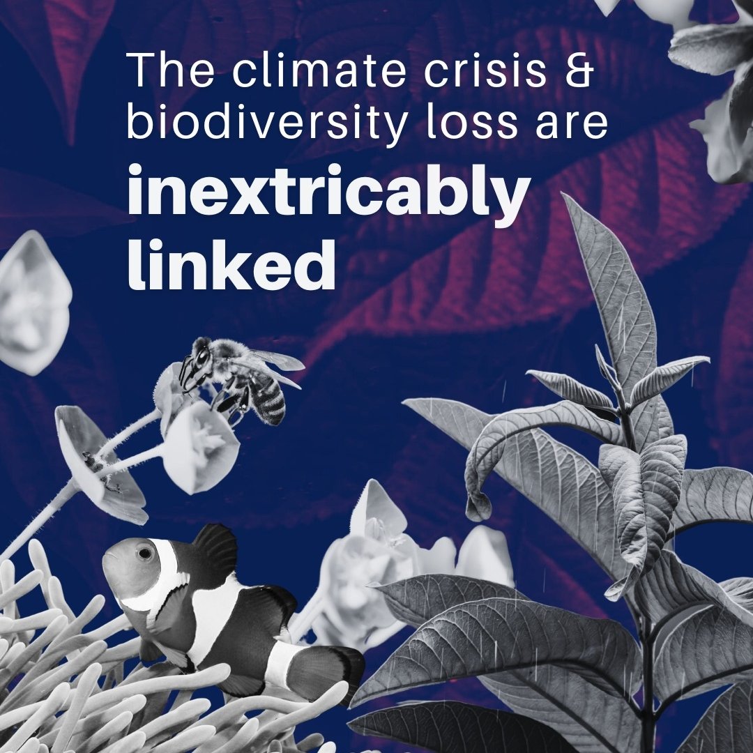 BM, doğaya zarar veren yatırımlaryıllık 7 trilyon iken doğa tabanlı yatırımlar 200 milyar dolar.
Üretim kayıplarının,  biyolojik çeşitlilik erozyonunun, insani krizlerin ve kitlesel göçlerin çözümünün doğayı dikkate alan sürdürülebilir üretimden geçtiğini anlamak neden zor?