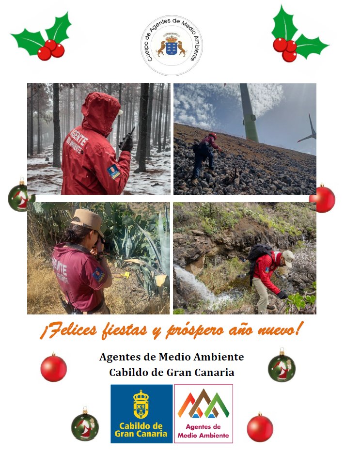 AAMMGranCanaria's tweet photo. Os deseamos felices fiestas y próspero año 2024, de parte de los #AgentesdeMedioAmbiente del @GranCanariaCab.

#FelicesFiestas
#PolicíaMedioambiental

👮🏻‍♂️👮🏼‍♀️🎄🦅🦉 https://t.co/dxFh4f54gG