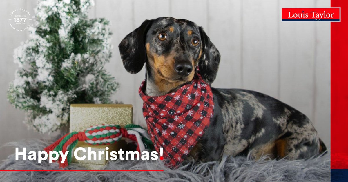 Wishing everyone a Merry &amp; Peaceful Christmas from all of us at Louis Taylor Ltd. We've had a great 2023 &amp; already have plans for 2024! Office re-opens at 9am on the 2nd January 2024.