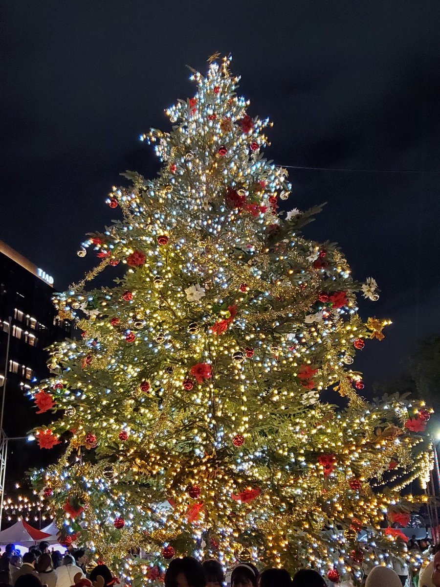 Yuusupport46's tweet photo. お相手様と楽しく打ち上げです。
クリスマスツリーすごく綺麗😊
#クリスマス #クリスマスツリー https://t.co/BYT0dPmFXF