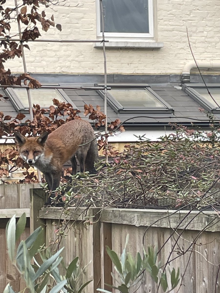 Simon Welburn-Supporting 🇺🇦 Ukraine. tweet media