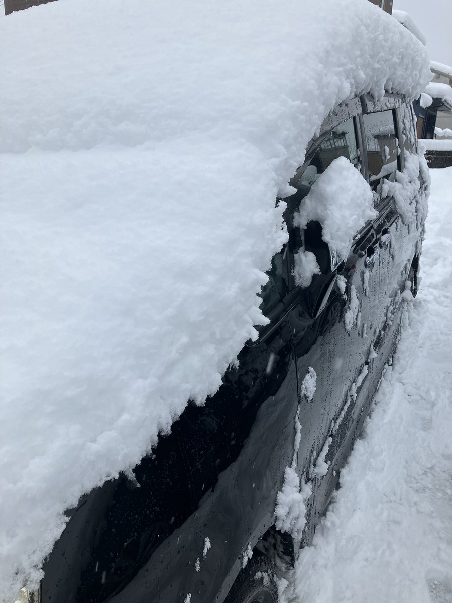 metalw48's tweet photo. 今朝の積雪
一晩で・・・ https://t.co/soUb09mU14