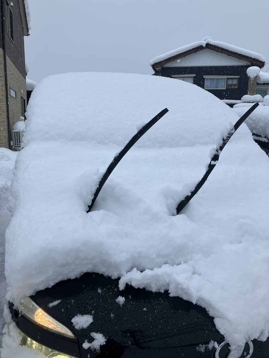 metalw48's tweet photo. 今朝の積雪
一晩で・・・ https://t.co/soUb09mU14