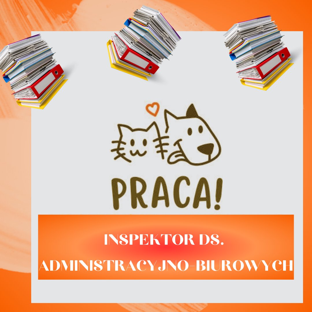 📷 PRACA, PRACA  📷
Dyrektor Schroniska na Paluchu im. Jana Lityńskiego ogłasza nabór na stanowisko:
📷📷 Inspektor ds. administracyjno-biurowych 📷📷
Szczegóły oferty: napaluchu.waw.pl/oferta-pracy-i…