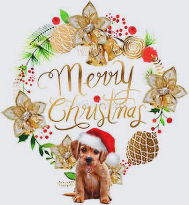 memobeachpt tweet media