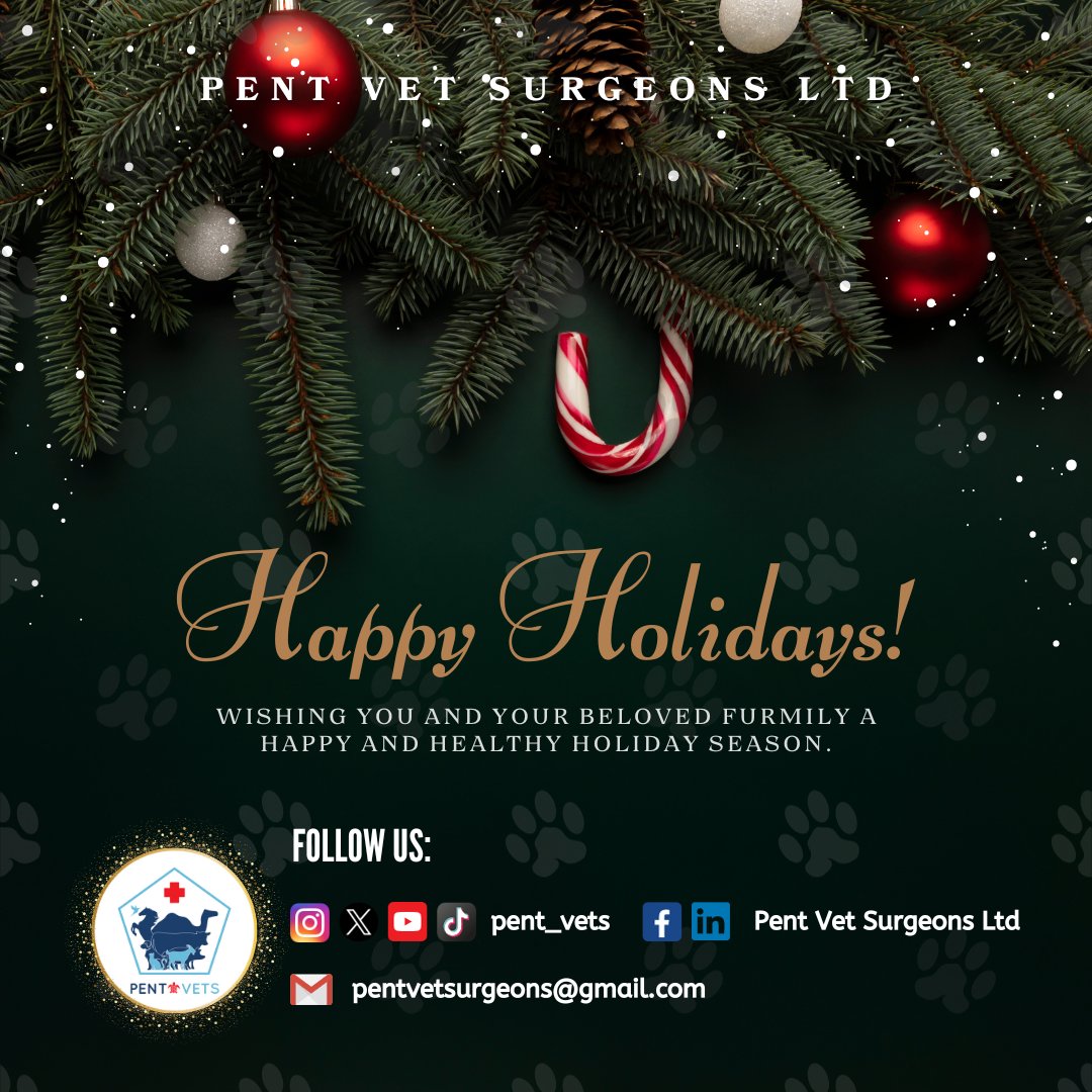 We wish you a joyful festive season 🎄✨️

#pentvets #MerryChristmas 
<a href="/NMwakitau/">Nelson Mwakitau</a> <a href="/musyaedward/">Musya Edward</a> <a href="/mike_catalogue/">the vet barista☕️ :)</a> <a href="/onesskybz254/">Dr. Ngure Kibuu</a> <a href="/fkmbai/">Dr FK Mbai</a>