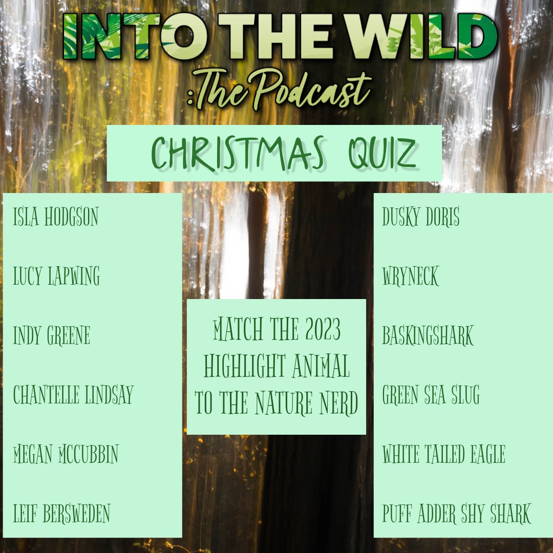 🎙Into The Wild's Christmas Party: Merry Nerd-Mas!🎙

Our last episode of 2023 is out now for your festive ears! Featuring a chat with taxidermist @ellektaxidermy AND a quiz hosted by Into The Wild's very own Oscar!

➡️ To try the quiz!

Listen at:linktr.ee/intothewildpod
