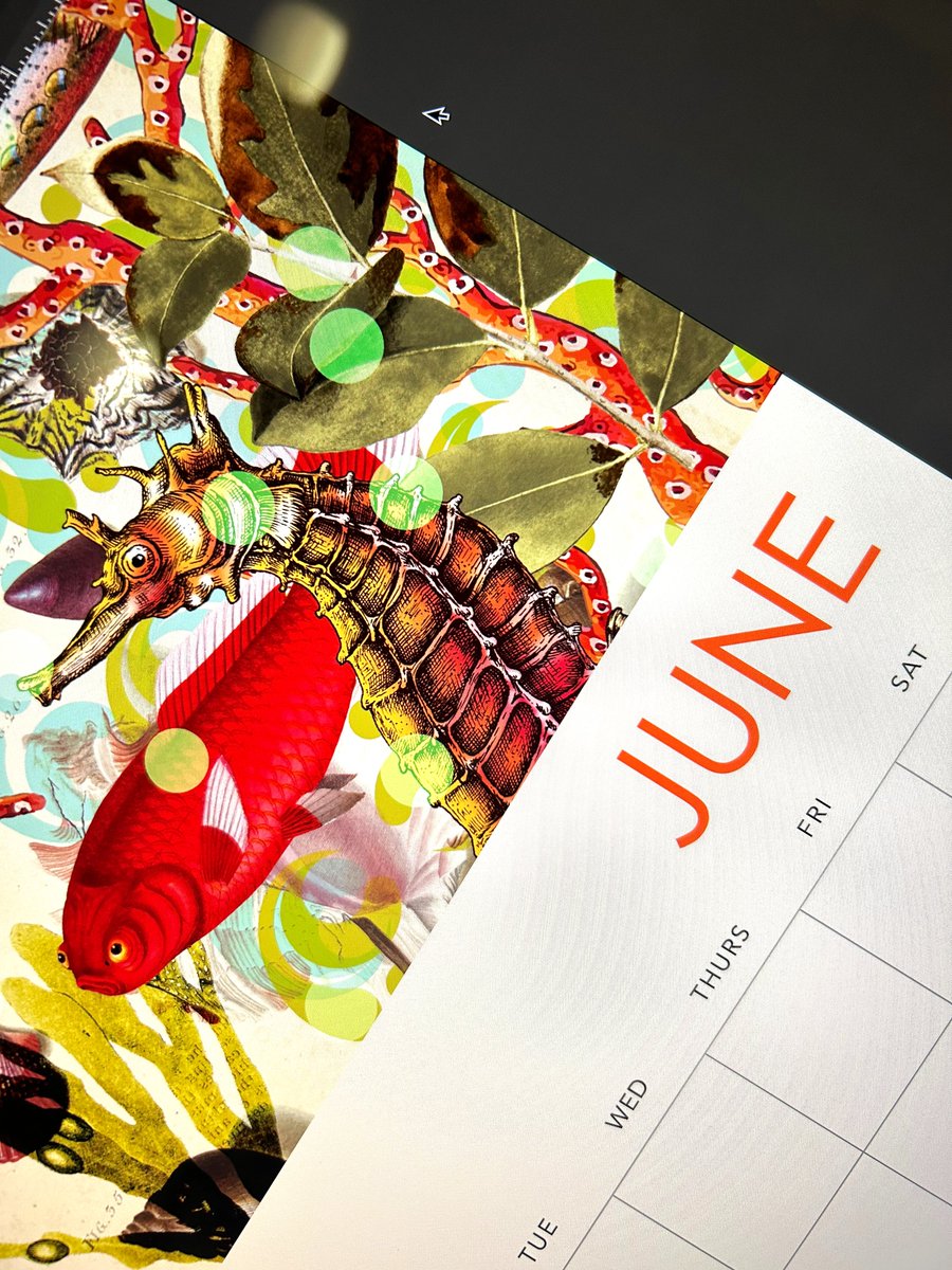 Day by day, hour by hour . . . colour by shade by fish by bird by cheek by jowl by heartbreak by elation by the sweat of my brow . . . the new calendar is taking shape. For every one of you who's waiting, it won't let you down. Promise. <a href="/seagullbooks/">Seagull Books سیگل</a>