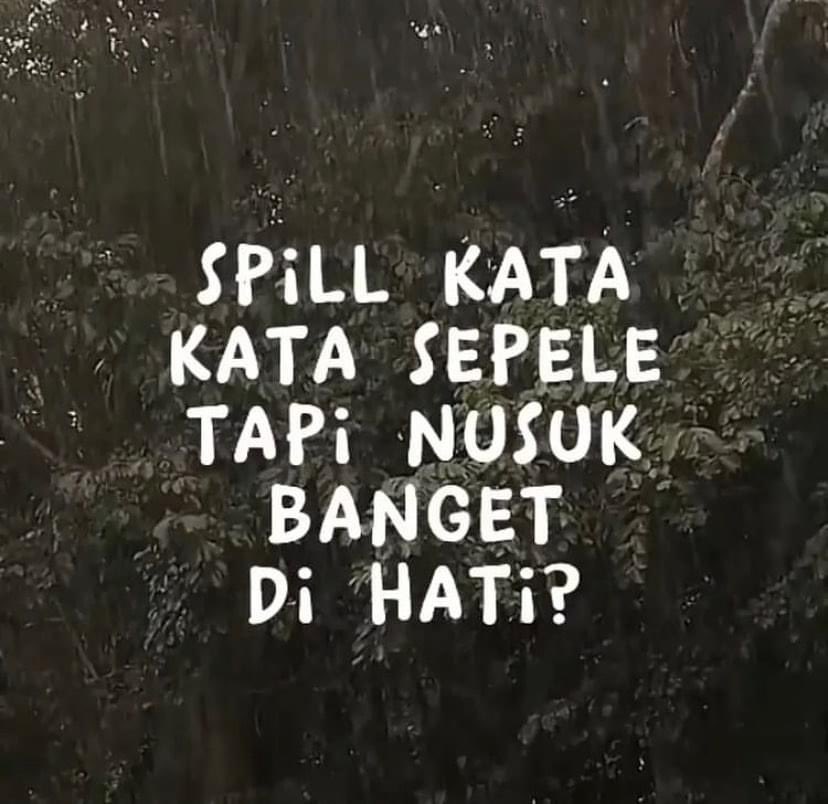 Sol Queen 👑 tweet media