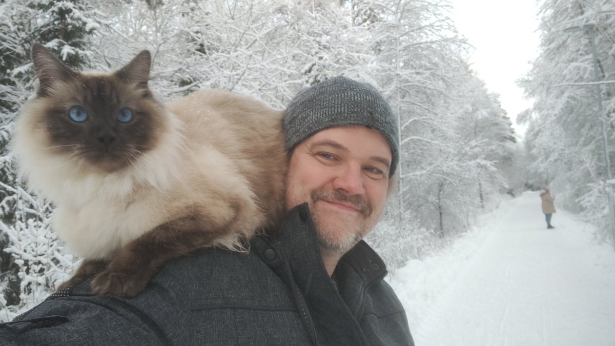 SinSonic tweet media