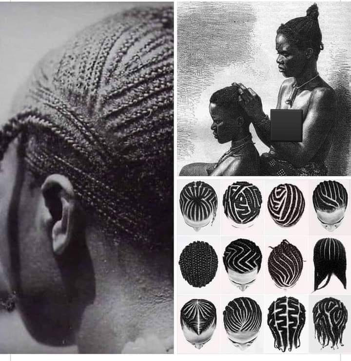 Cornrows were used to help enslaved folks escape slavery

Enslaved people used cornrows to transfer information and create maps to the north. Since enslaved people were not allowed to read or write they had to pass information through cornrows.

It is believed to have originated