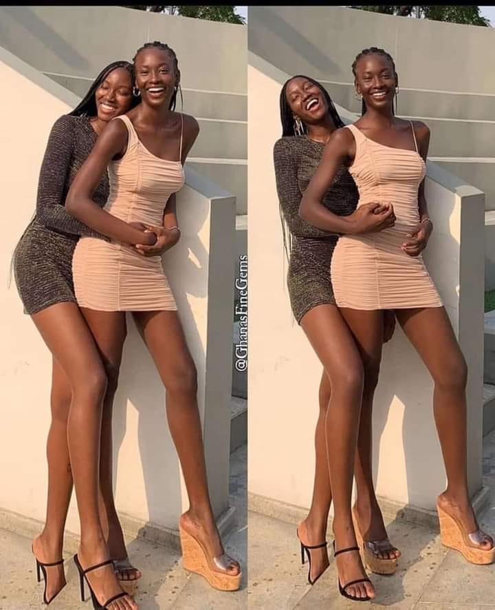 From Africa to the world.

The Height is incredible.