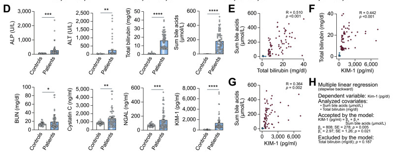 #livertwitter 

🟢#BileAcid (BA) enrichment in kidney➡️ #CholemicNephropathy
✋Blocking renal #ASBT prevents kidney BA enrichment & prevents cholemic nephropathy.
💡Renal #ASBTinhibition enhances urinary BA excretion & lowers blood BA.

📕 @JHepatology 
t.ly/qkkME