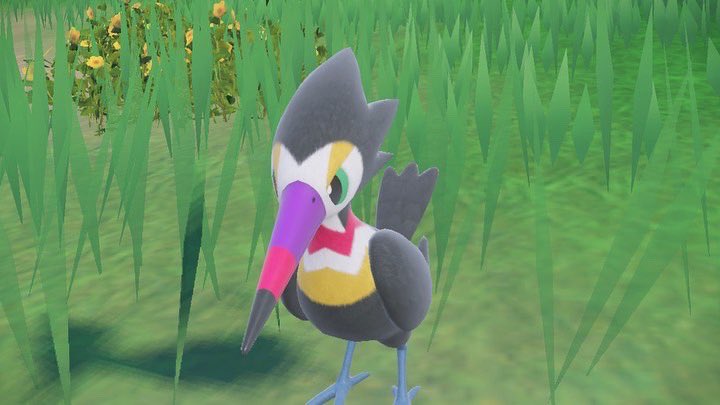 eleger10110508's tweet photo. Live Shiny pikinek ✨🕊️ very feel boring about Pokémon gen 9👎 for me
#shinyhunt #shinyPokémon #shinypokemons #✨ #shinyhunters✨ #shinyhunting
#色違いポケモン #色違い #shinypokemon #shinyhuntingpokemon #shinypikipek #shinytrumbeak https://t.co/Lnoh6vgZdC