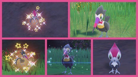 eleger10110508's tweet photo. Live Shiny pikinek ✨🕊️ very feel boring about Pokémon gen 9👎 for me
#shinyhunt #shinyPokémon #shinypokemons #✨ #shinyhunters✨ #shinyhunting
#色違いポケモン #色違い #shinypokemon #shinyhuntingpokemon #shinypikipek #shinytrumbeak https://t.co/Lnoh6vgZdC