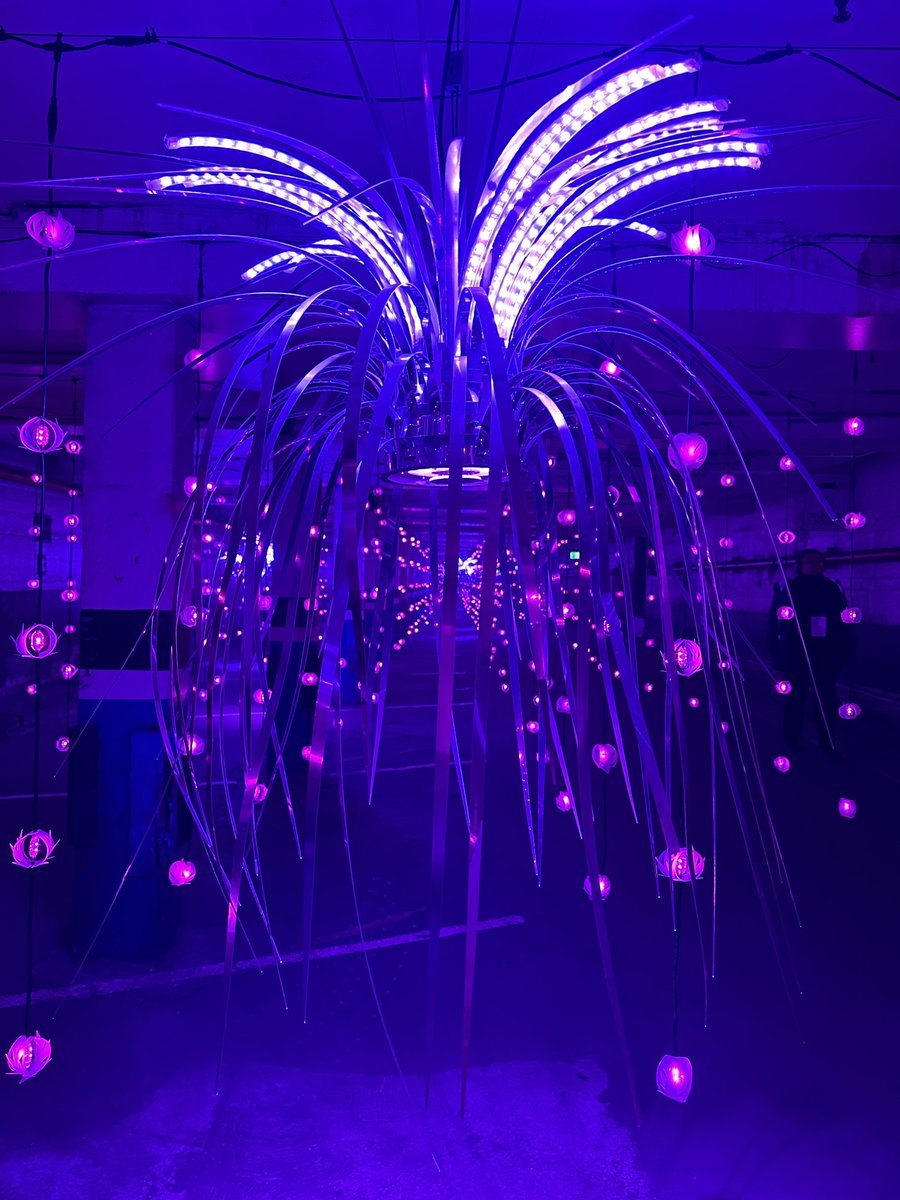 Lukas McDiarmid tweet media