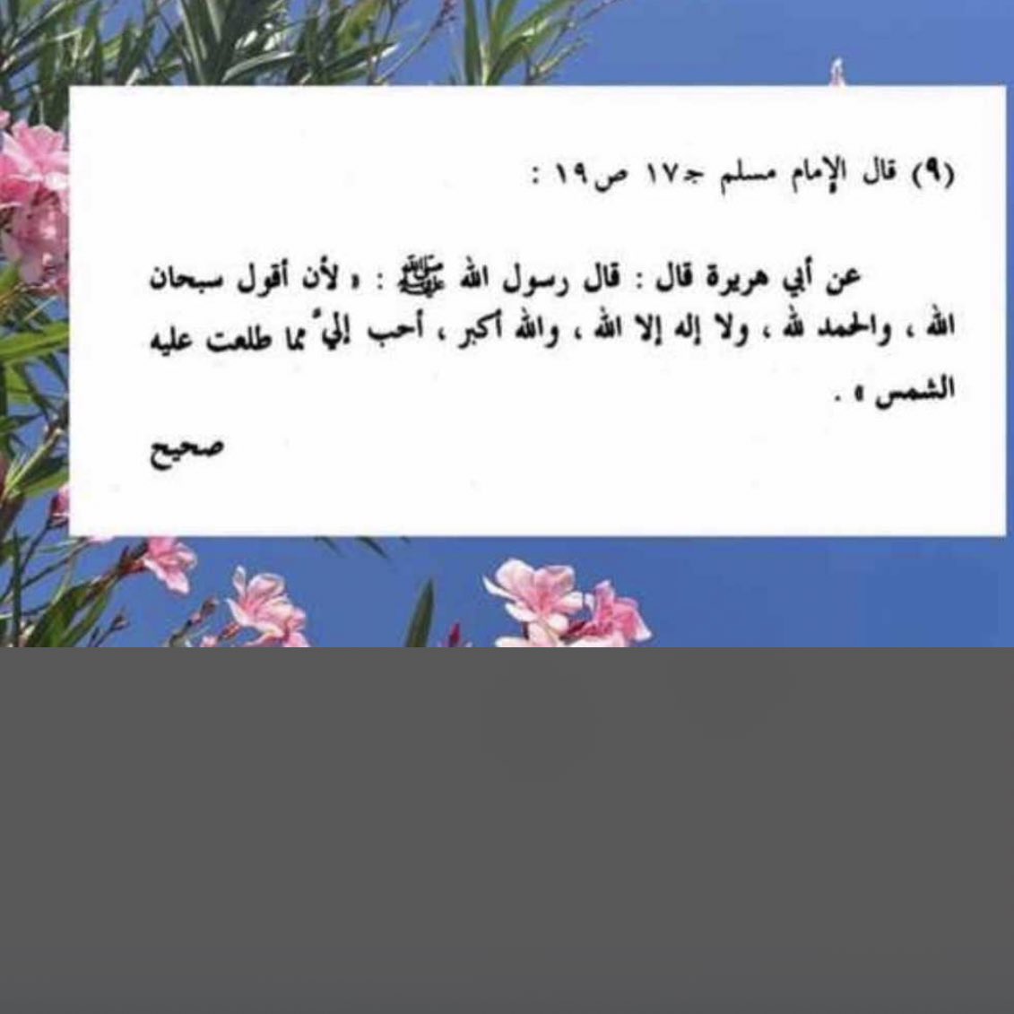 samaheer_10's tweet photo. #جده_lلان https://t.co/RjEUJjErri