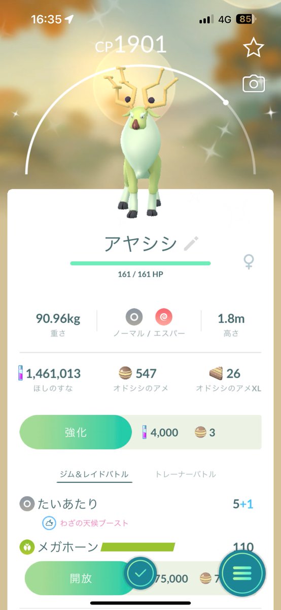 kuruzow1's tweet photo. とりあえず満足😆 https://t.co/YG4JwYtrI0