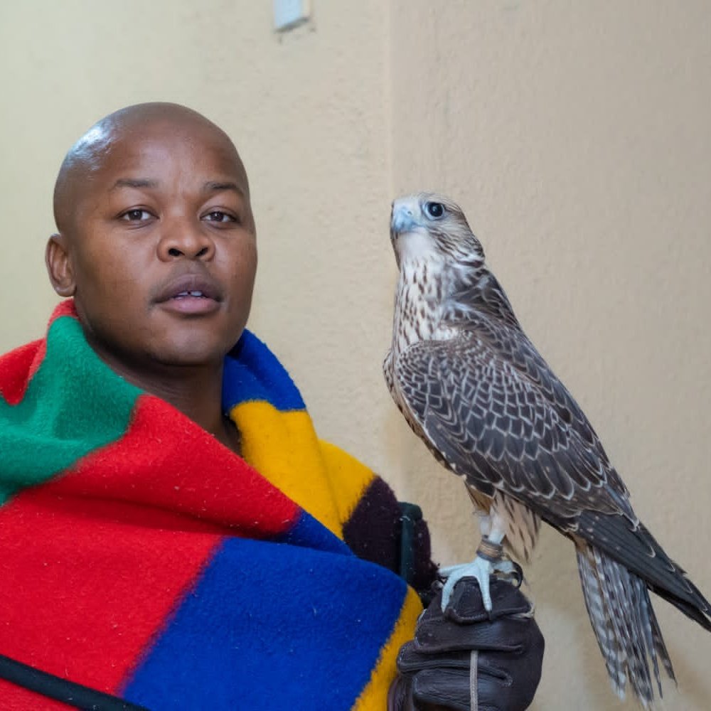 khayatlou's tweet photo. Silent conversation.... I'm a falconer ✈️ https://t.co/VbW0SkSBlo