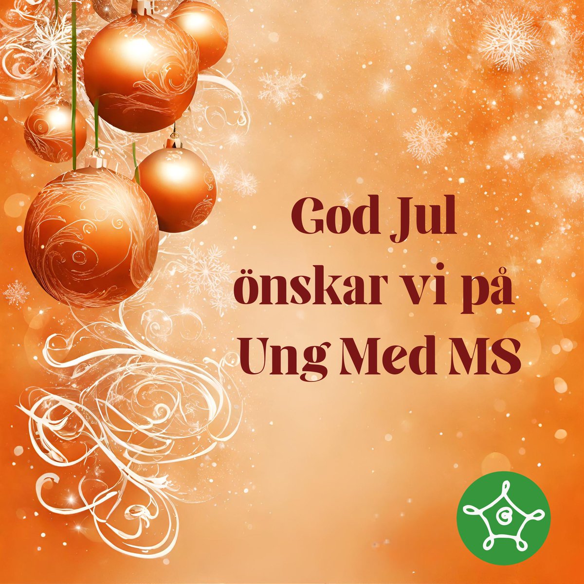Vi på Ung Med MS vill önska alla en riktigt god jul! 🌟🎄

Ett stort tack till alla våra medlemmar. Det är så fint att se hur vi står tillsammans i kampen mot MS. 🧡

Om ni vill stötta Ung Med MS arbete så tar vi tacksamt emot donationer via Swish 123 307 96 96 🎁

God jul!