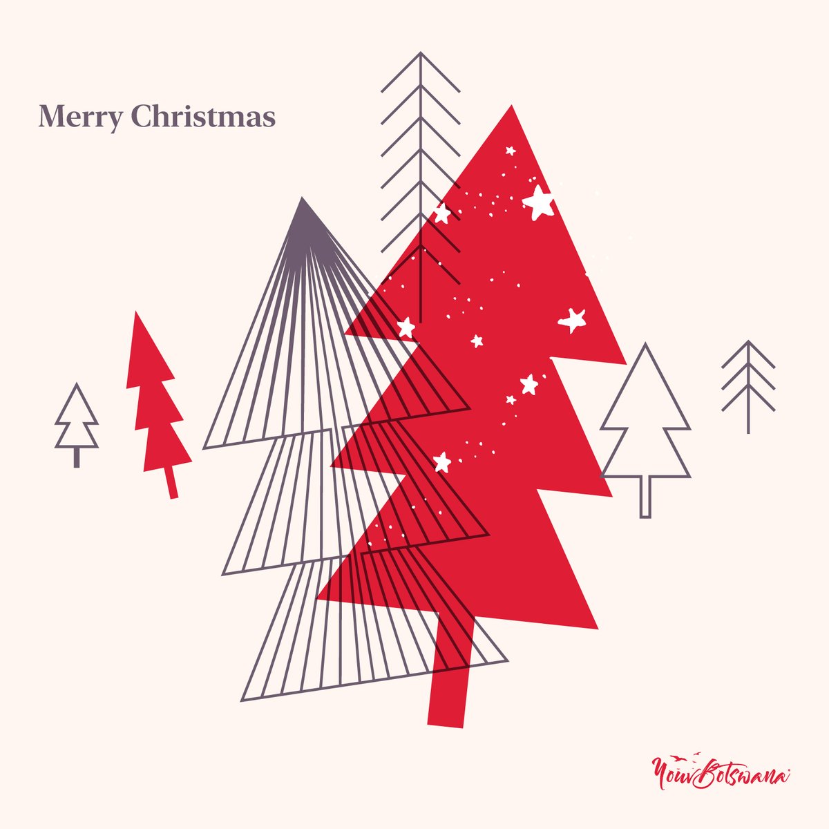Have a safe and relaxing Christmas everyone. #botswana #africa #chirstmas #holiday