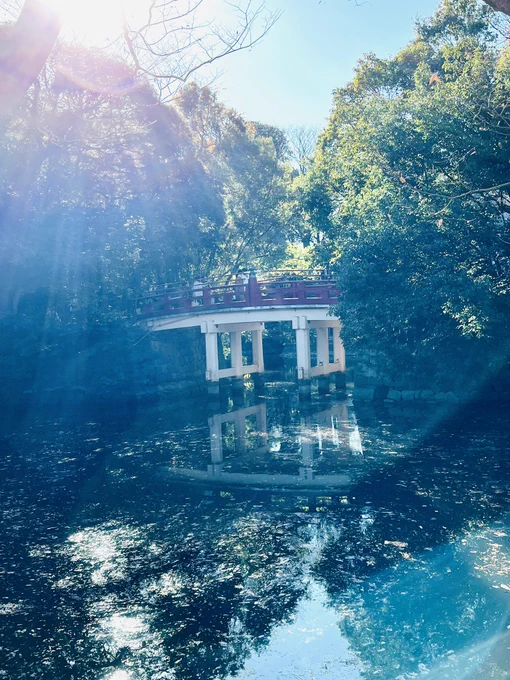 氷川神社行ってきた〜! おみくじが吉だったけど良いことしか書いてなくてテンション上がった!3枚目綺麗に撮れてお気に入り写真 あと一目惚れしたブーケこれで550円だったの嬉しい