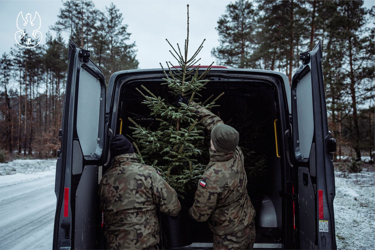 terytorialsi's tweet photo. „Choinka 🎄dla Kombatanta” od Terytorialsów z #5MBOT i Nadleśnictwa. Świąteczne drzewka z plantacji w Lipniaku pod Siedlcami jadą do kombatantów wschodniego Mazowsza!
@LPanstwowe 👍
#Choinka #Święta #Kombatant #Mazowsze #Nadleśnictwo #LasyPaństwowe #Siedlce #Terytorialsi https://t.co/l9I5ObhjJD
