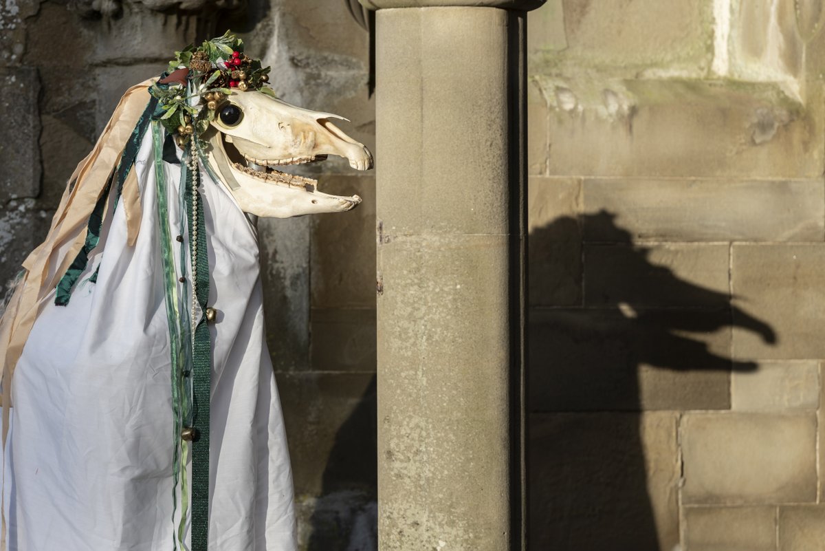 Appearing on the darkest of nights, the memorable Mari Lwyd roams Welsh villages at midwinter. Bringing music, song and mischief with her, if houses permit entry, they're rewarded with good luck for the year. Read more about this tradition here: bit.ly/3LsTehR