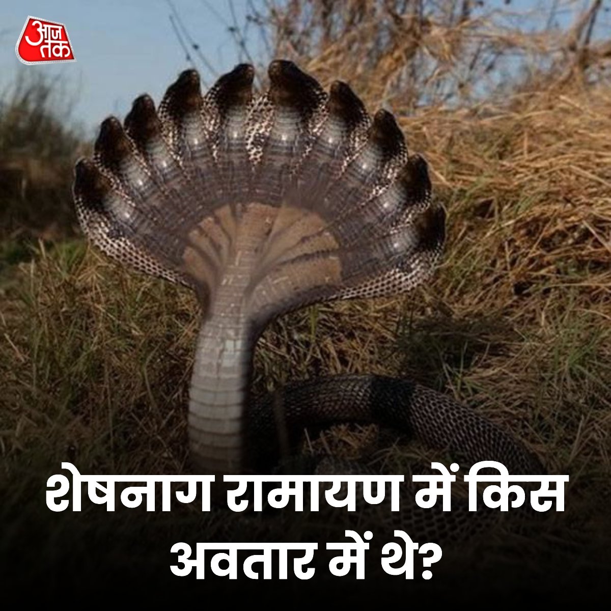 AajTak tweet media