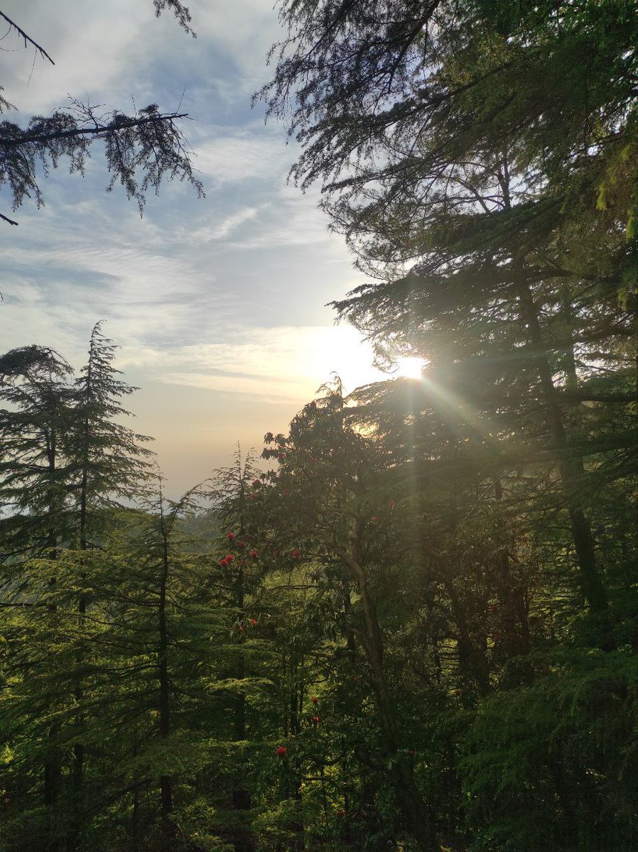 "Embark on a journey beyond the boardroom—travel unveils the extraordinary in the ordinary. In the early light of distant lands, #founders #builders find inspiration, reconnect with purpose, and gain a profound philosophy of possibilities. 💫

"Travel broadens their vision,