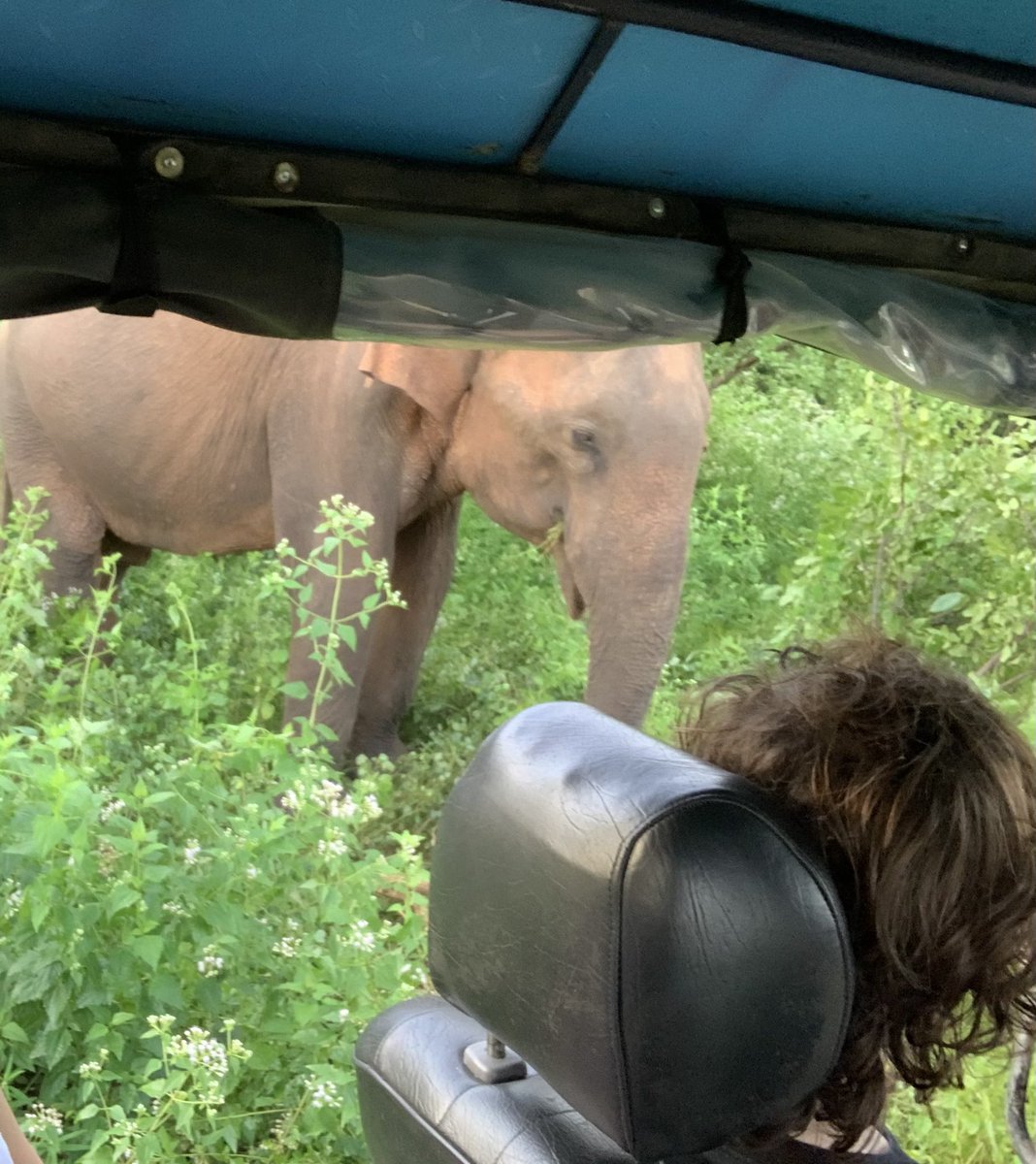 Almost our third Christmas in the land of the sand. Our adventure in Sri Lanka was incredible. I feel so lucky and grateful that I could give my family this amazing experience.