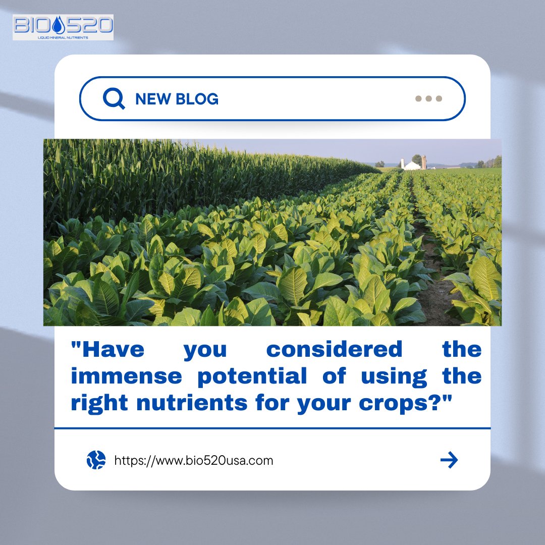 Unlock the full potential of your crops! 🌱✨ Explore the transformative power of the right nutrients at bio520usa.com 🌿 Elevate your crop game and reap the rewards of optimal growth. It's time to give your crops the nutrition they deserve!